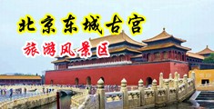 啊啊啊舔我b艹我中国北京-东城古宫旅游风景区